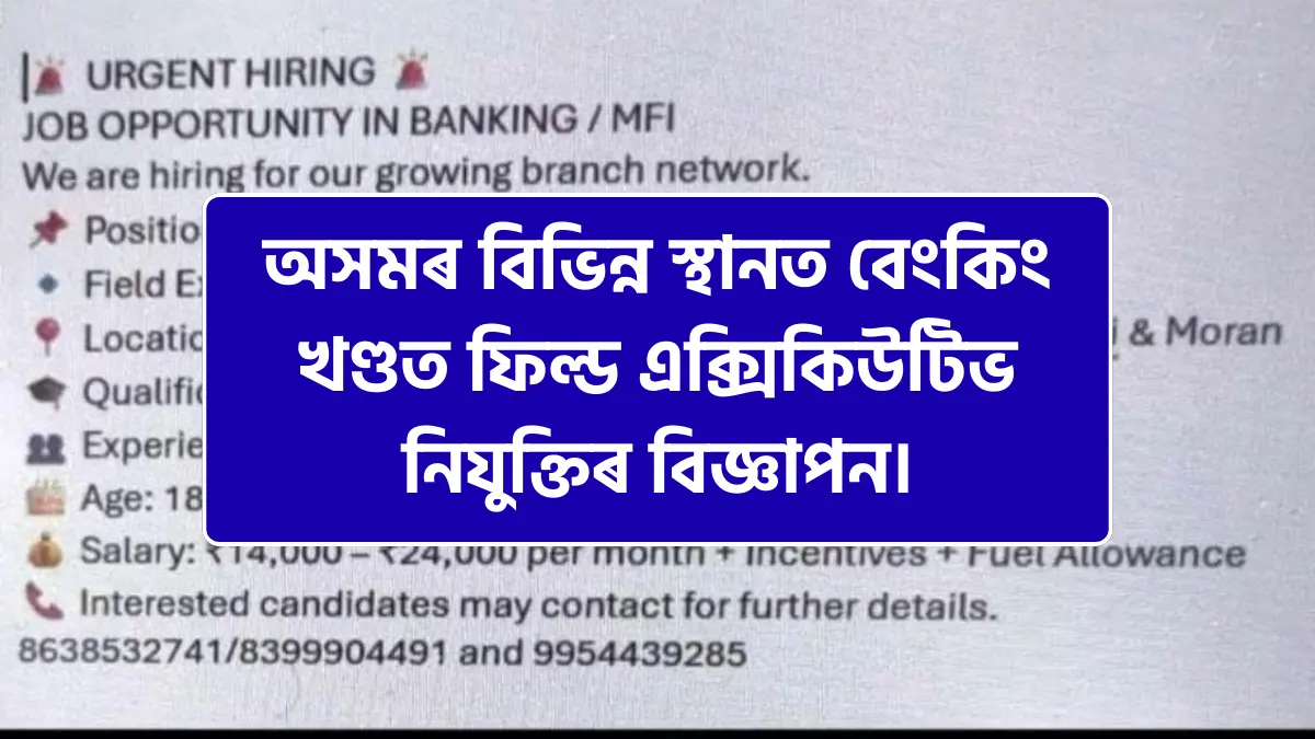 Banking and MFI Recruitment 2026 Field Executive Jobs in Assam