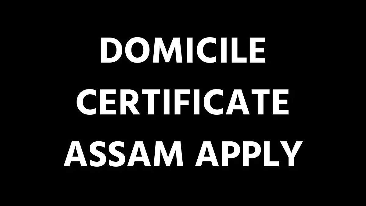 Domicile Certificate Assam Apply
